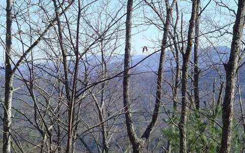 Lot 18 Hidden Springs Drive, Brasstown, NC 28902