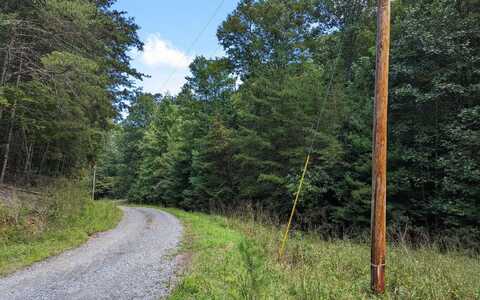 Twin Springs Road, Mineral Bluff, GA 30559