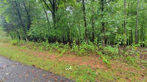 25-Lot Gap Bridge Road, Moneta, VA 24121