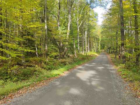 0 Banning Road, Putney, VT 05346