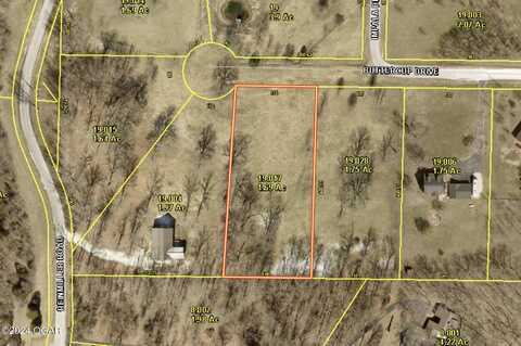 Tbd Buttercup Drive, Joplin, MO 64804