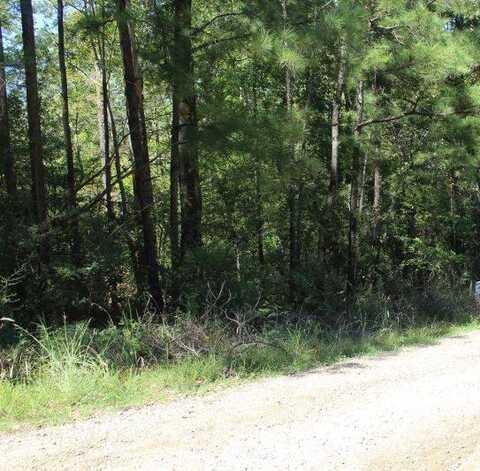 Lot 15 Hill Crest Dr, Anacoco, LA 71403