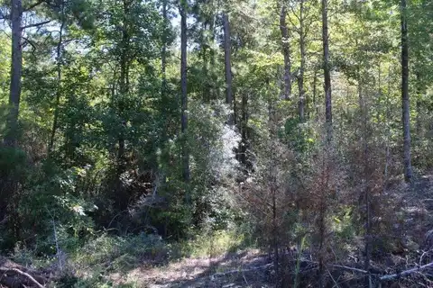 Lot 17 Hillside Dr, Anacoco, LA 71403