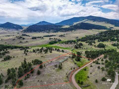 252 MCINTYRE DR, Guffey, CO, CO 80820