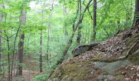 Lot 11 Bear Creek Trail, Fort Payne, AL 35967