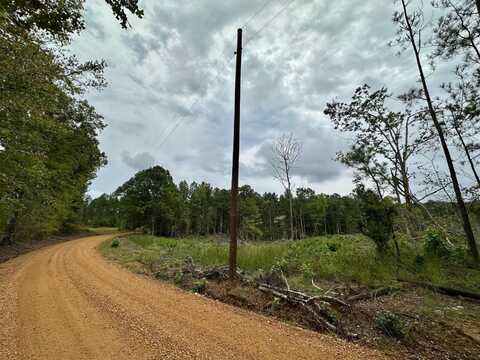 3 County Road 2215, Ethel, MS 39067