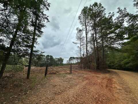 4 County Road 2215, Ethel, MS 39067