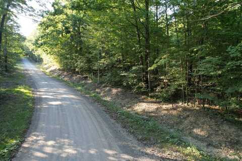 Lot 2 Lockwood Run Road, Baldwin, NY 14859