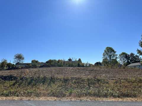 Lot-45 County Road 537, Etowah, TN 37331