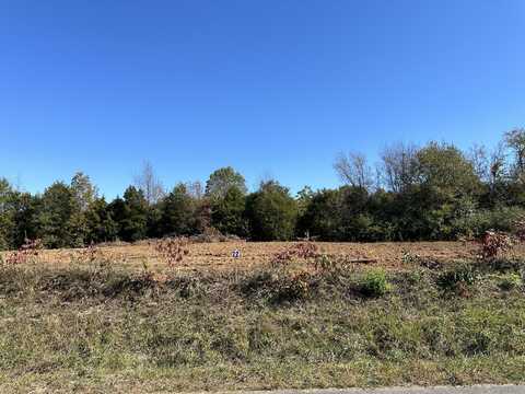 Lot-22 County Road 537, Etowah, TN 37331