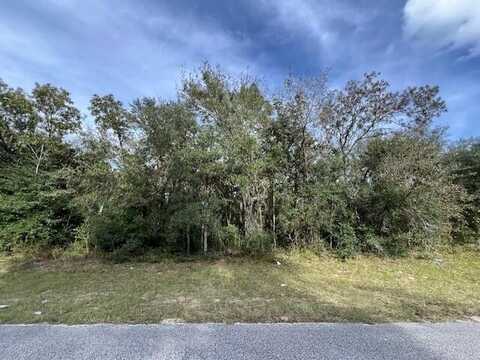 Tbd SW 146th Lane Road, Dunnellon, FL 34432