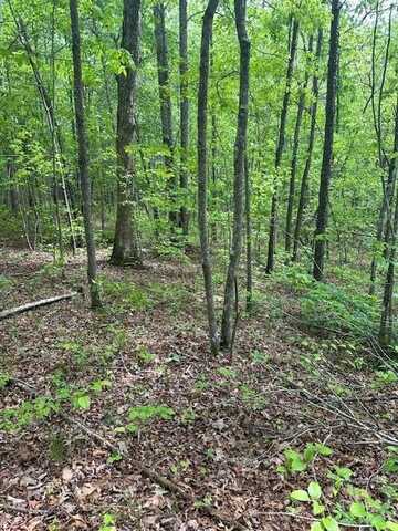 lot 116 Big Piney Loop, WILDER, TN 38589