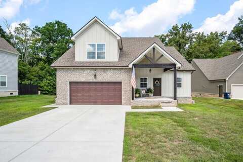 125 Stone Haven Dr, SMITHVILLE, TN 37166