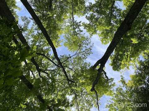 TBD OFF THE HAZEL, Twin Lake, MI 49965