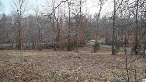 000 Fern Creek Ln - Lot 1, Benton, KY 42025