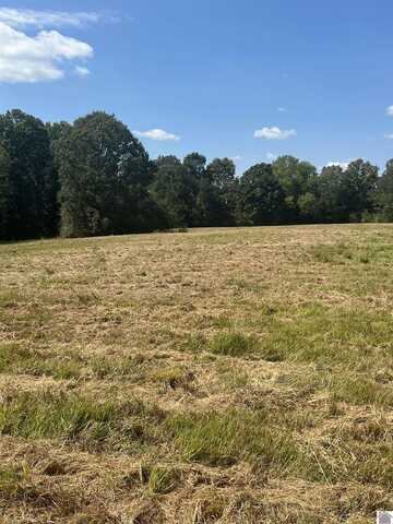 18.36 Acres on Curd Rd & Aurora Hwy, Hardin, KY 42048