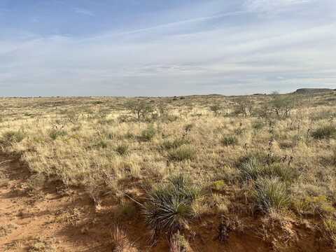 0 Davison Drive, Amarillo, TX 79124