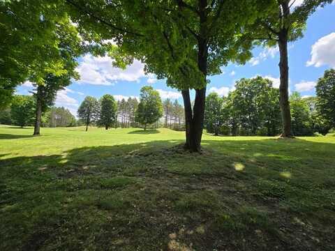 Lot 23 Cubs Way, Vanderbilt, MI 49795