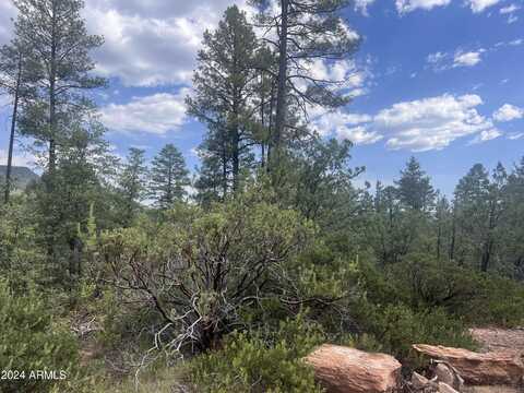 0000 N Mistletoe Lot Q --, Pine, AZ 85544