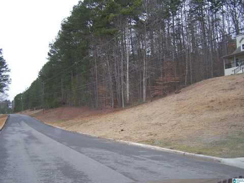 HERITAGE ROAD, ONEONTA, AL 35121