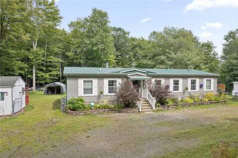 236 Spisak Road, Coventryville, NY 13730