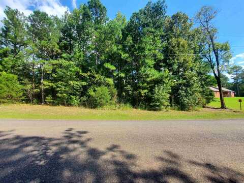 000 Tree Lakes Drive, Searcy, AR 72143