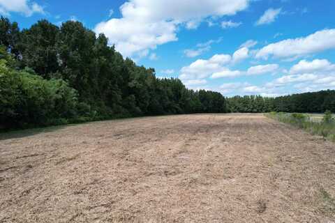 TBD Highway 261, Kingstree, SC 29556