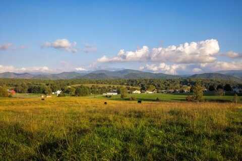 47 acres N LEE HWY, RAPHINE, VA 24472