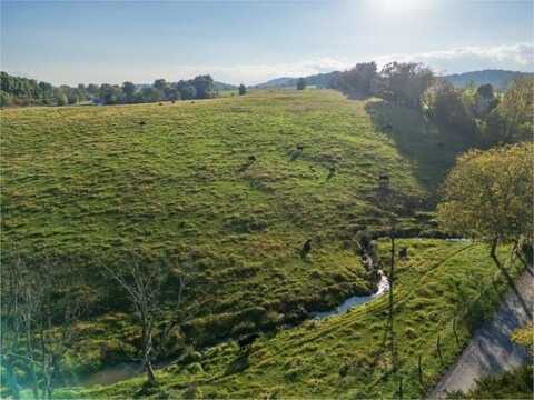 47 acres N LEE HWY, RAPHINE, VA 24472