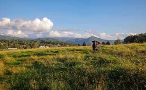 47 acres N LEE HWY, RAPHINE, VA 24472