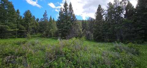 11 Hall Creek Tract, Helmville, MT 59843