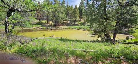 12 Hall Creek Tracts, Helmville, MT 59834