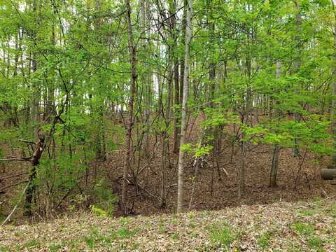 Lot 9 Crawford DR, Moneta, VA 24121