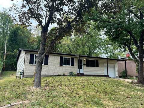 5319 Grove Avenue, Saint Louis, MO 63135