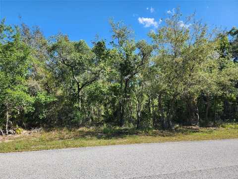 10389 MARVISTA COURT, WEEKI WACHEE, FL 34614