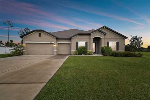 10423 CRESTVIEW HEIGHTS AVENUE, THONOTOSASSA, FL 33592