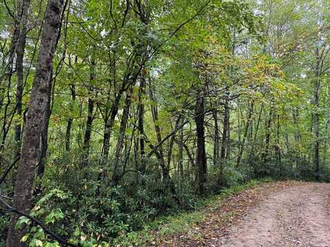 lot32&33 Whispering Springs Lane/Valley View, NANTAHALA, NC 28781