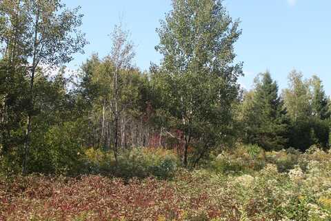 Lot 4 Woodrbridge Corner Roads, Sherman, ME 04776