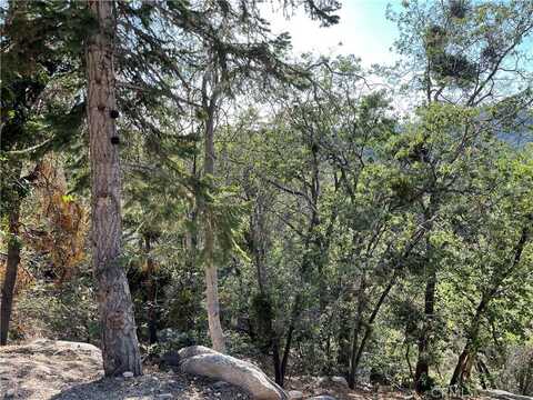 23 Lot 23 Music Camp Road, Arrowbear, CA 92382