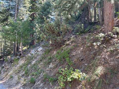 28 Lot 28 Forest Lane, Twin Peaks, CA 92391