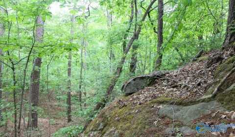 Lot 11 Bear Creek Trail, Fort Payne, AL 35957