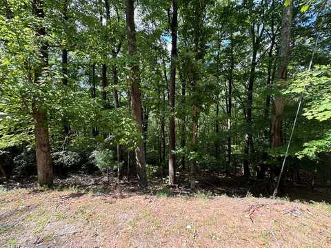 Lot M42 Sleepy Hollow Road, Ellijay, GA 30536