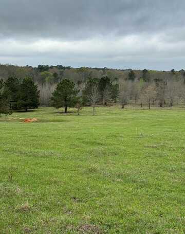 TBD County Road 537, Nacogdoches, TX 75961