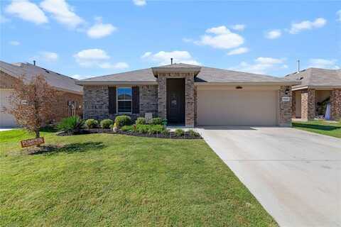 16429 Porterfield Lane, Justin, TX 76247