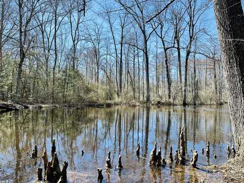 0 Farley Park Road, Church View, VA 23032