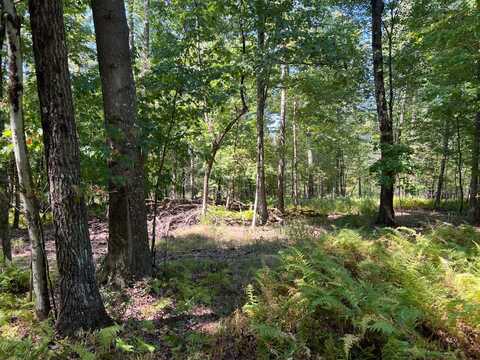 00 Old Route 36, Pleasantville, PA 16341