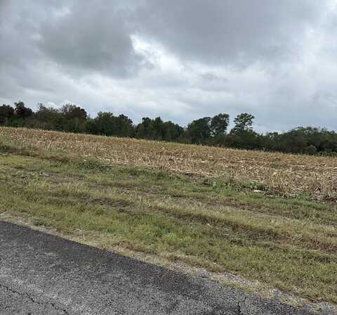 Lot 9 Hwy 43 Section, Section, AL 35771