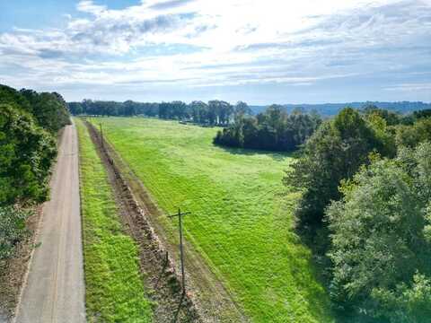 00 County Road 3339, Brundidge, AL 36010