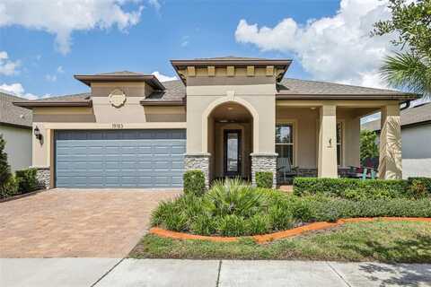 19183 COASTAL SHORE TERRACE, LAND O LAKES, FL 34638