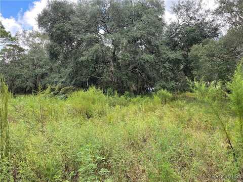 4685 W Bobby Court, Lecanto, FL 34461